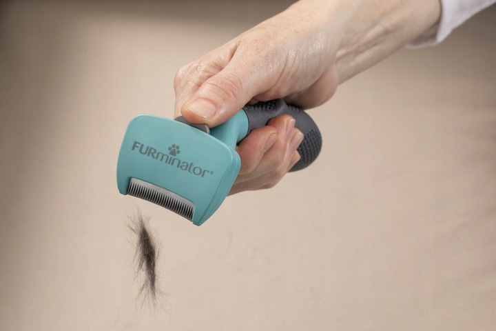 FURminator dla kotów krótkowłosych średnich dużych sierść krótka M/L Large