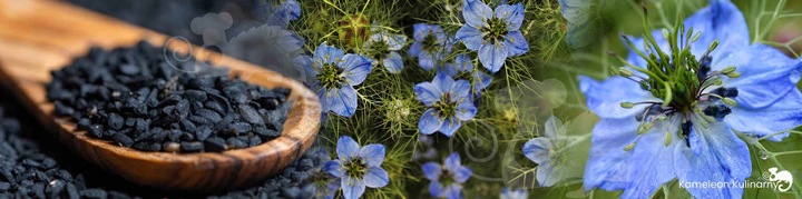 OLEJ Z NASION CZARNUSZKI TŁOCZONY NA ZIMNO nierafinowany Czarnuszka 250ml