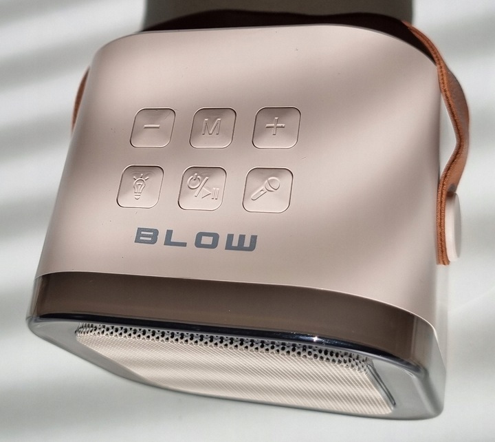 Przenośny GŁOŚNIK Bluetooth + 2 Mikrofony + Karaoke dla Dziewczynek