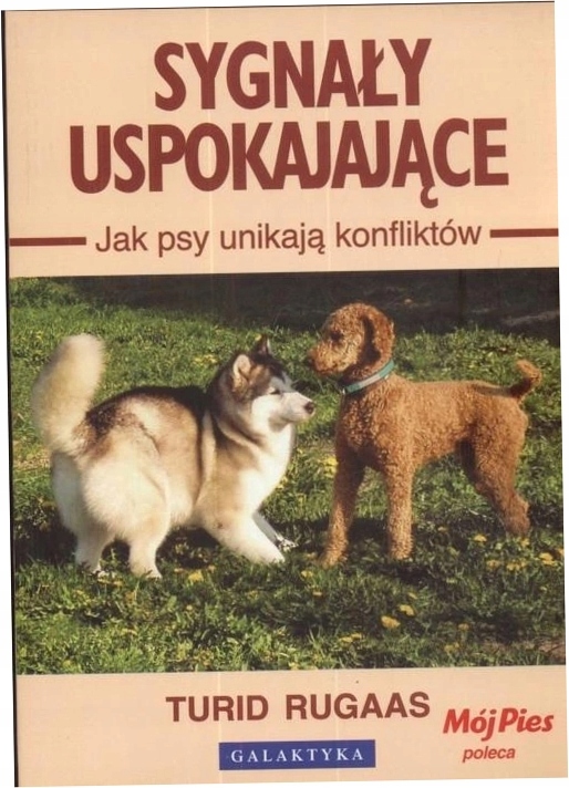 Sygnały uspokajające. Jak psy unikają konfliktów