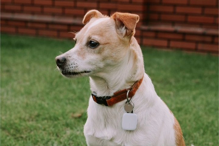 Lokalizator kluczy NotiOne Go Plus