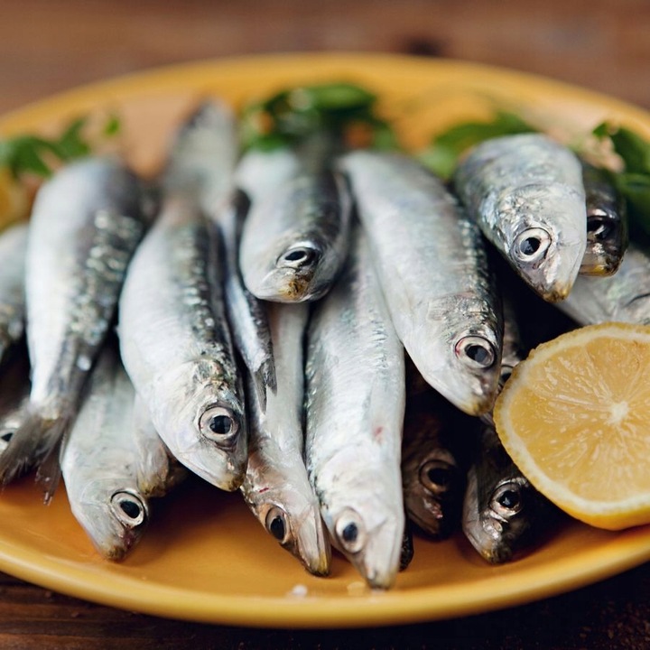 Primal Spirit Karma dla psa WILDERNESS 60% Mięsa WIEPRZOWINA KURCZAK 12kg