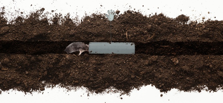 KRETOŁAPKA PUŁAPKA ŁAPKA NA KRETY I NORNICE 4 SZTUKI NO PEST SYGNALIZATOR