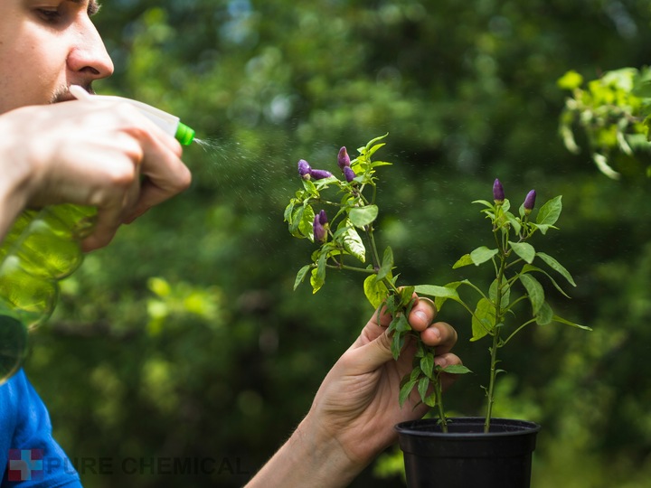 OLEJEK NEEM DO ROŚLIN NIERAFINOWANY NATURAL 500ml