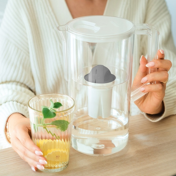 Filtr Wessper Protect do twardej wody do dzbanka Dafi zamiennik - 5 sztuk