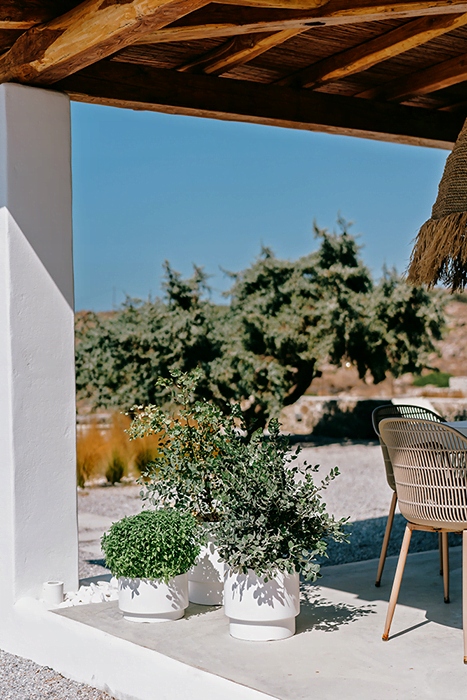 DONICZKA OSŁONKA NA KWIATY WKŁAD HEOS BIAŁA 30CM