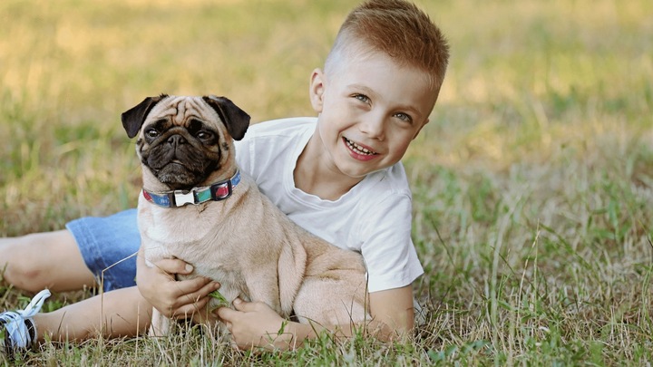 FREXIN OBROŻA NA PCHŁY I KLESZCZE DLA PSA PSÓW ŚREDNIE RASY REGULOWANA 45cm