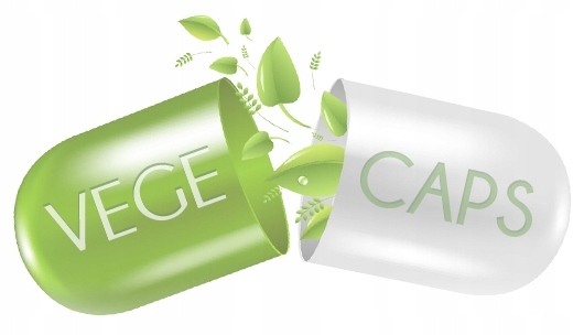 Aliness Jabłczan MAGNEZU 140 mg z B6 5mg ZMĘCZENIE SENNOŚĆ 100 vege kaps