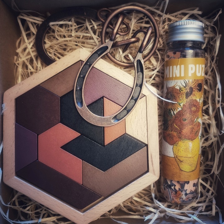 Łamigłówki IQ Mensa retro super prezent dla 14 15 16 nastolatka - LOGIC SET