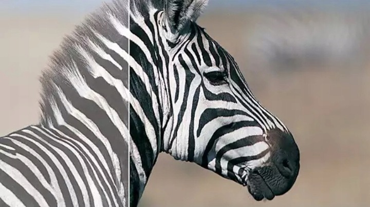 Monitor 24'' Philips 243V7QDSB/00 IPS LED Full HD