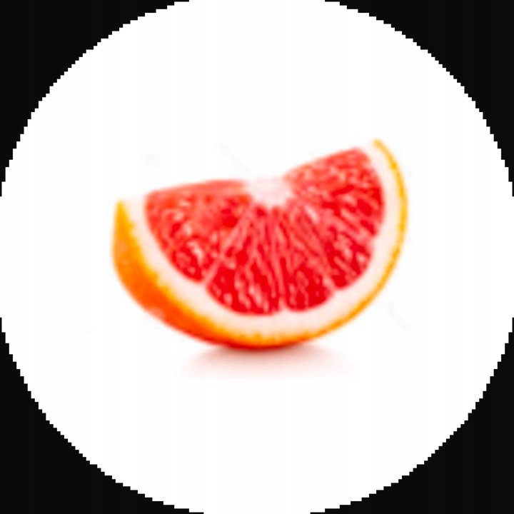 Wyciskarka do Cytrusów SCP600 THE CITRUS PRESS