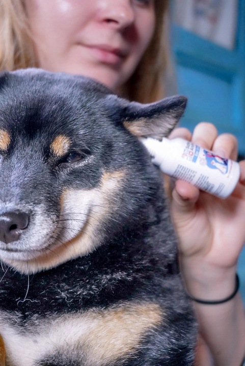 Safe Animals Ear Drops Krople ze srebrem do uszu 30ml