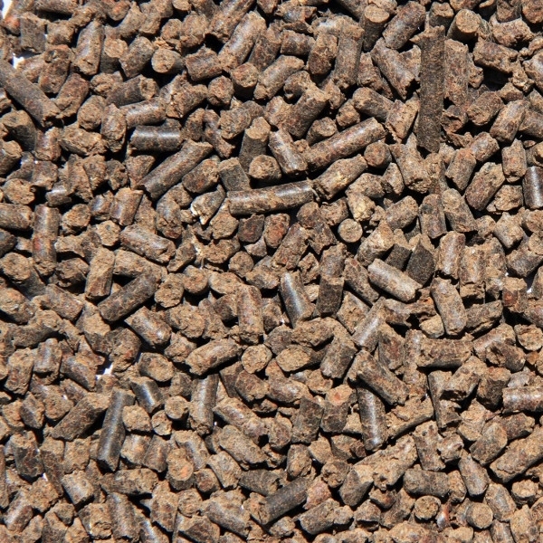 Obornik Bydlęcy Target do drzew i krzewów 10 L