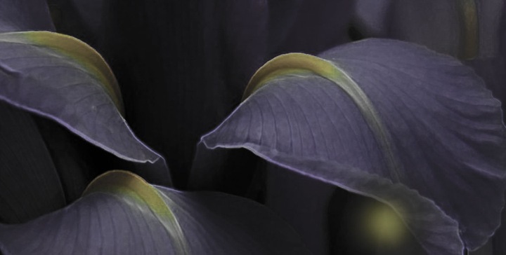 C'EST CEST LA VIE EDP 100ml + La Vie est belle 1ml