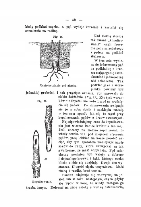 Kultura winorośli Konrad Niklewicz reprint 1893