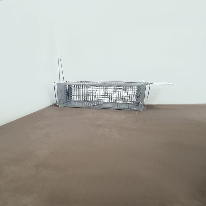 Żywołapka Pułapka na Szczury Kuny Łaski Norki Chwytacz Myszołapka XL Repest