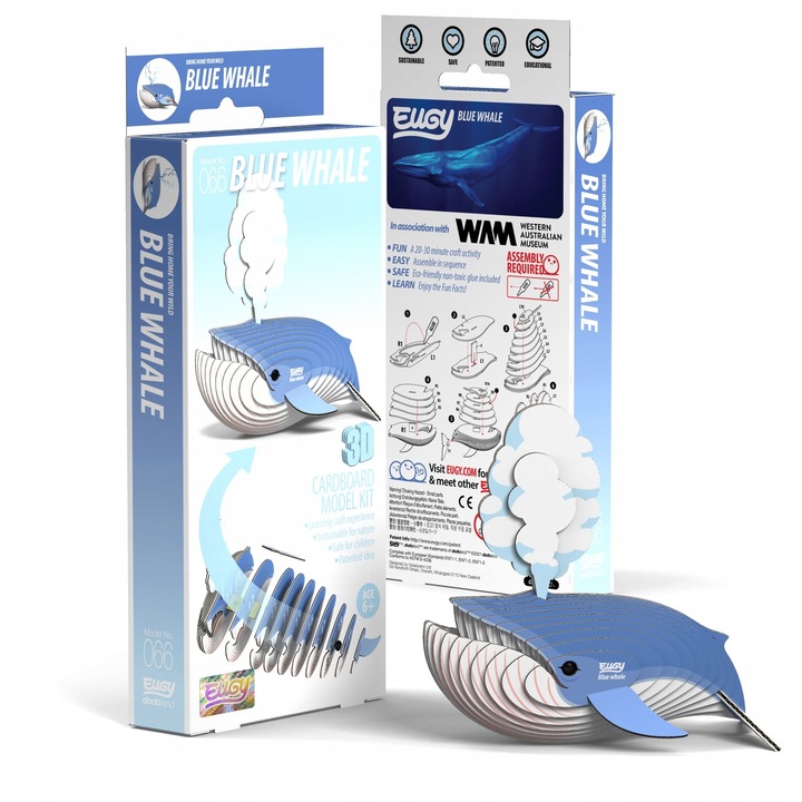 Wieloryb Płetwal Błękitny Eugy. Eko Układanka 3D