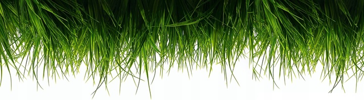 Nawów NA LATO do TRAWY BARENBRUG UNIVERSAL 5 KG