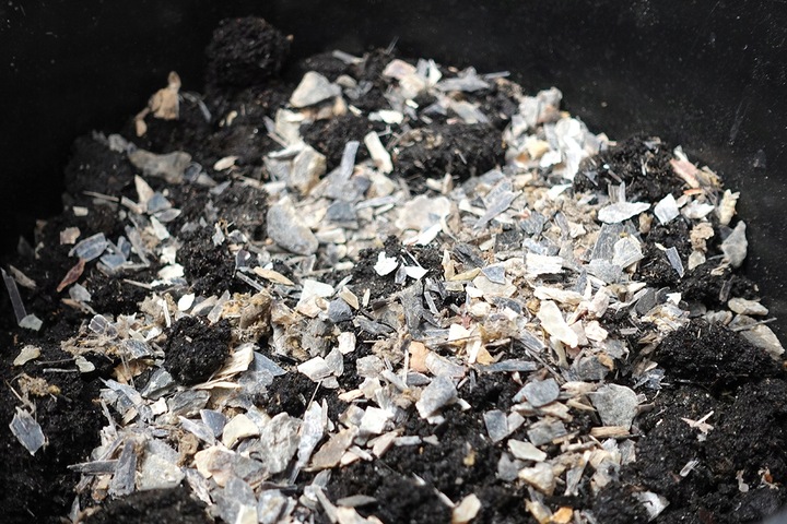 Nawóz Organiczny Wióry Rogowe 10kg Mączka Rogowa Z Rogów Kopyt Ekologiczny