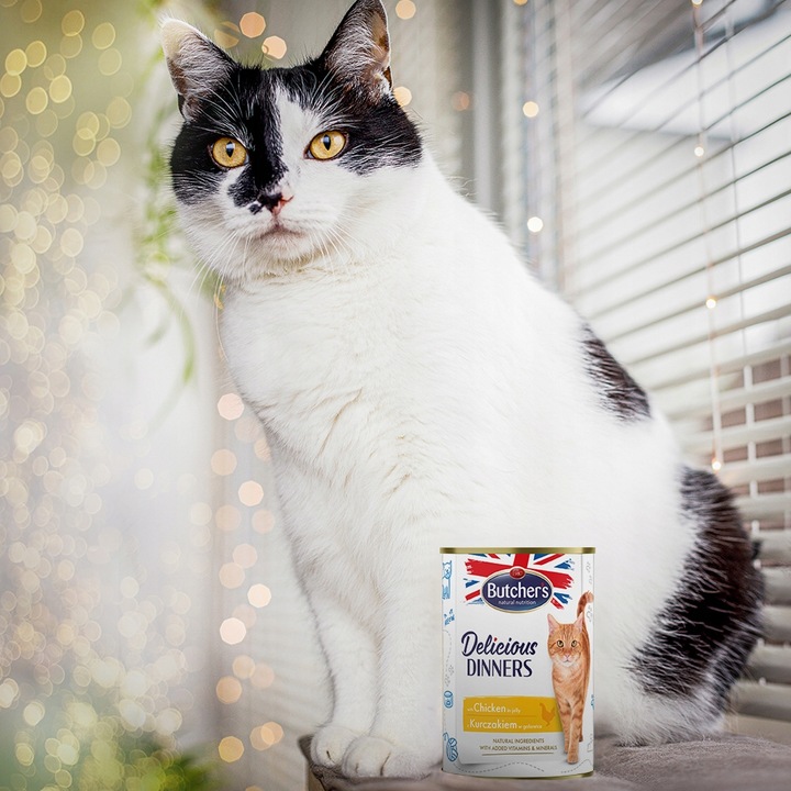 Butchers mokra karma dla kota Delicious Dinners kurczak 10x400g