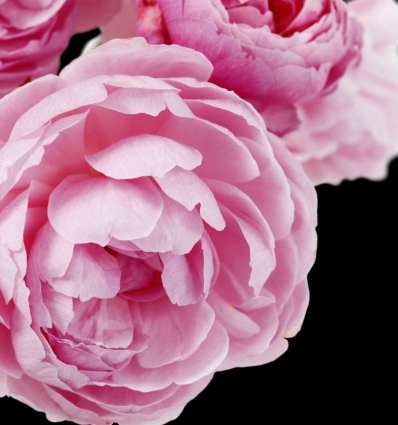 Yodeyma Eau de Parfum CHEANTE 50ml EDP