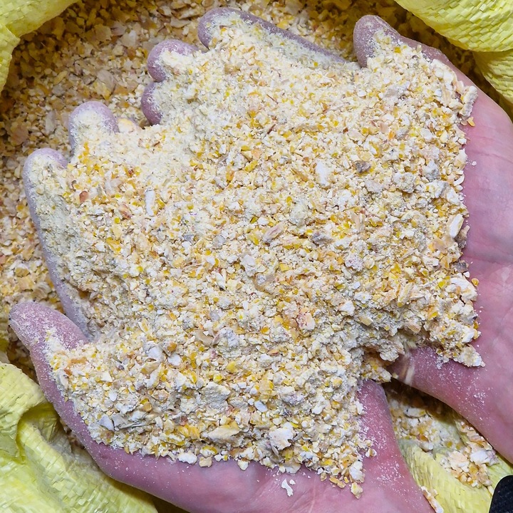 KUKURYDZA GNIECIONA walcowana pasza dla kur niosek, kaczek 20