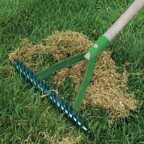 AERATOR WERTYKULATOR trawa oddycha GRABIE wiosna