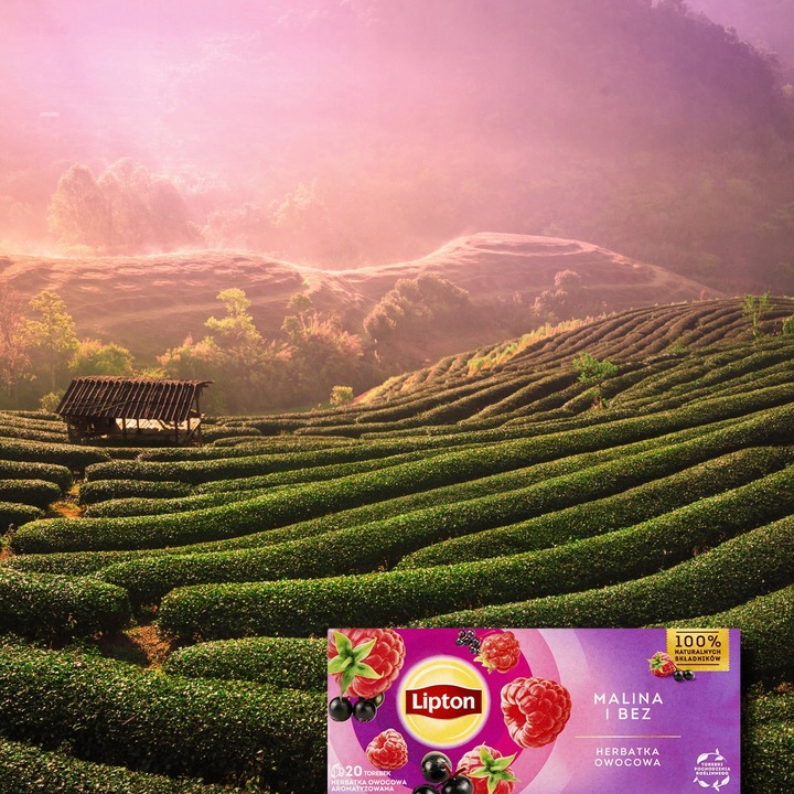 Zestaw Lipton Herbatki owocowe wszystkie smaki 5x20 torebek + PUSZKA GRATIS