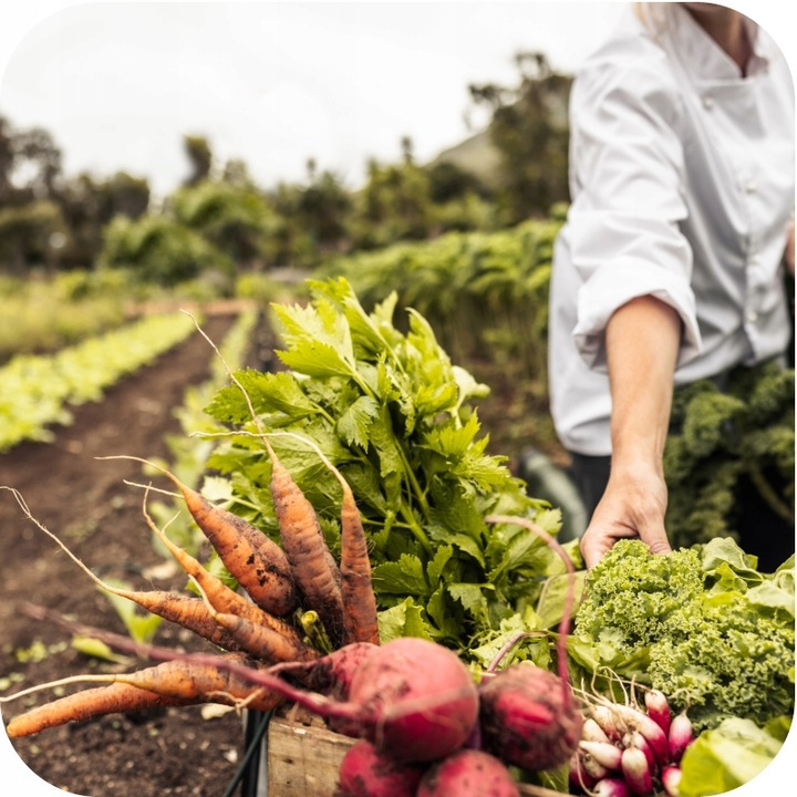 FruktoVit Plus Nawóz uniwersalny granulowany ogrodniczy 5kg ZDROWE ROŚLINY