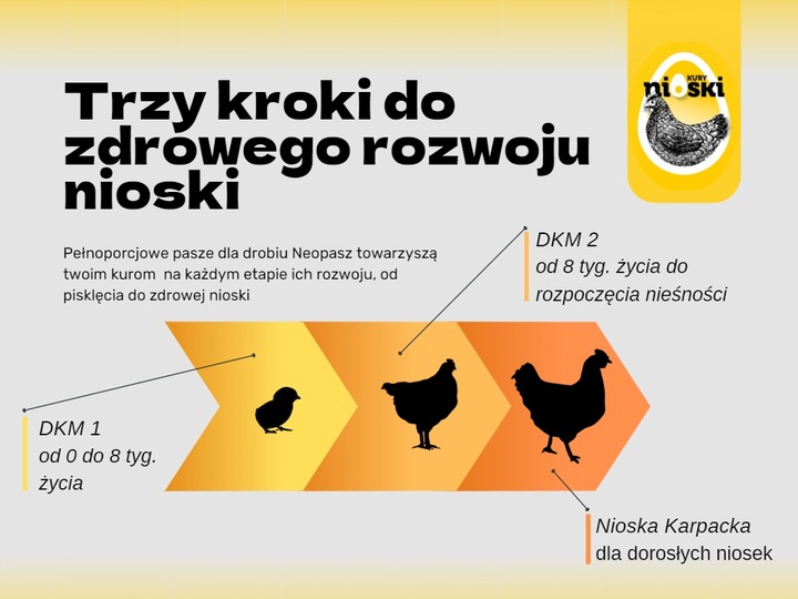 Pasza dla kur niosek NEOPASZ Nioska Karpacka GRANULAT 25 KG