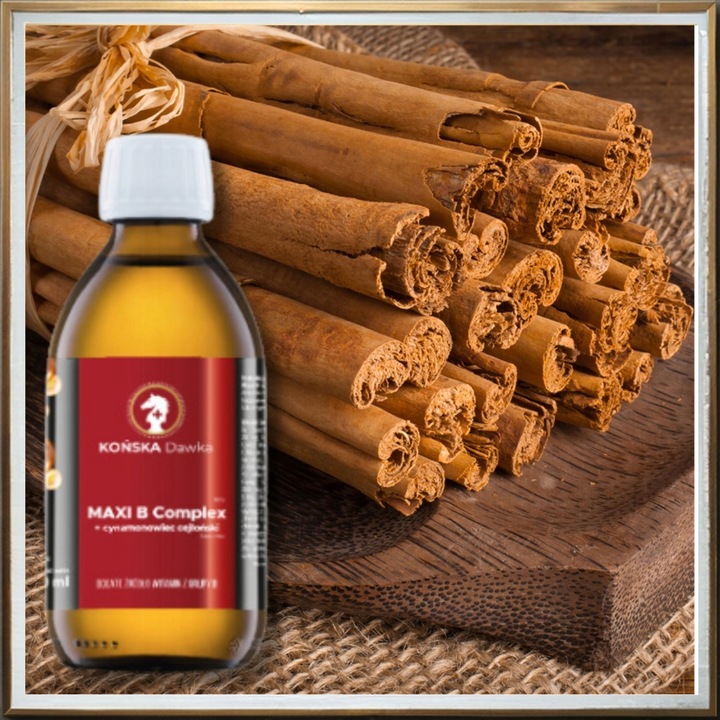 Witamina B B1B2 B3 KOŃSKA DAWKA Cynamonowiec cejloński MAXI B Complex