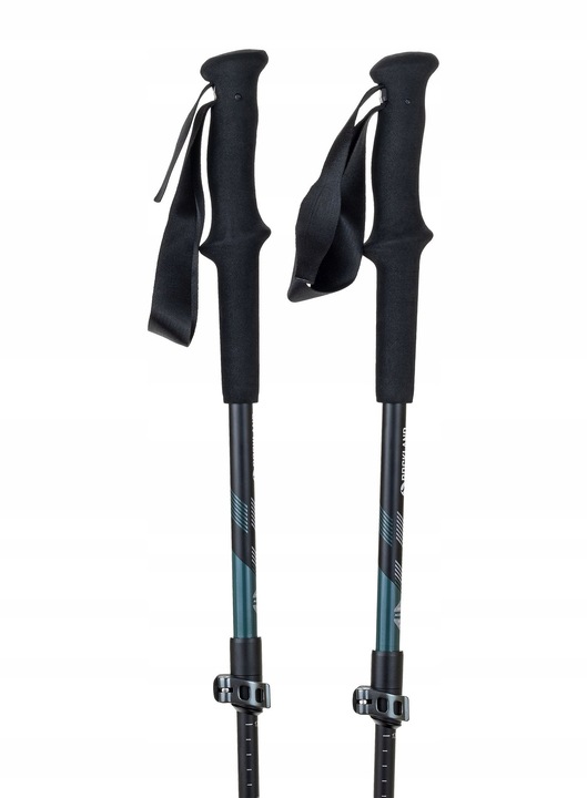 Kije karbonowe Rockland Access Lite