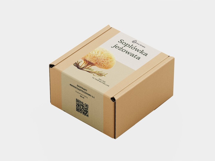 SOPLÓWKA JEŻOWATA KROPLE EKSTRAKT ADAPTOGENY Suplement lion's mane 50 ml