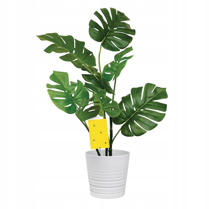 LEP DO DONICZEK SZKLARNI NA MSZYCE ZIEMIÓRKI MUSZKI MRÓWKI NO PEST (60 SZT)