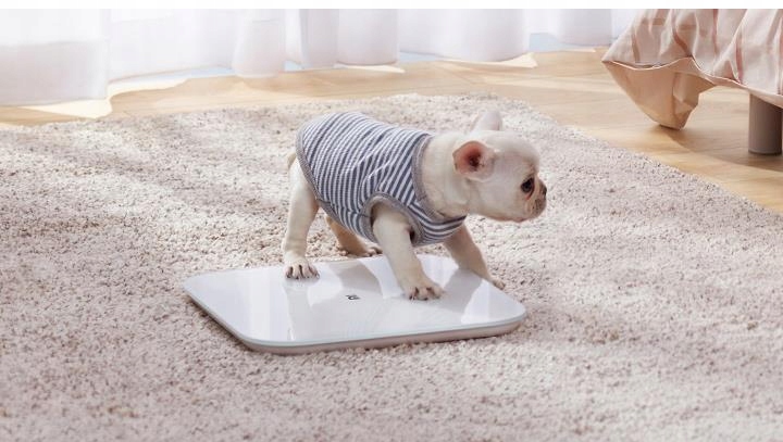 WAGA ŁAZIENKOWA XIAOMI MI SMART SCALE 2 BLUETOOTH