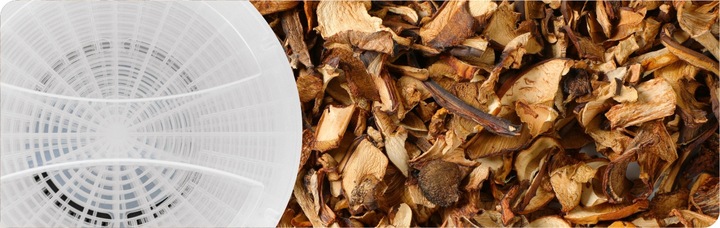 Suszarka spożywcza do grzybów Zelmer ZFD1010 520 W biała