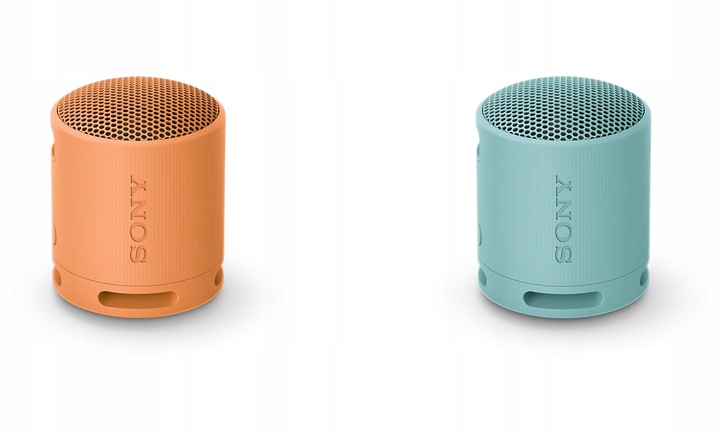 Głośnik przenośny bluetooth Sony SRS-XB100H Szary