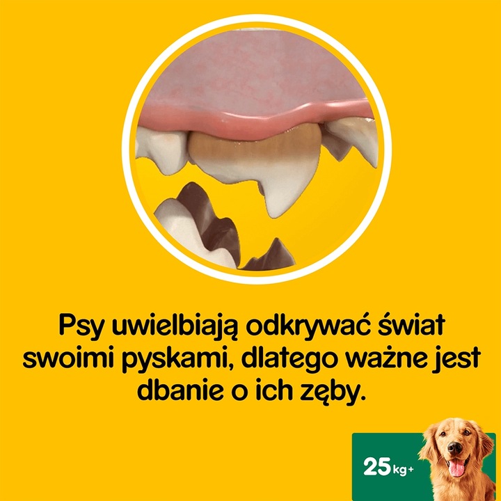 Pedigree Dentastix Przysmak Dentystyczny Dla Psów Dużych Ras 2 + 1 GRATIS