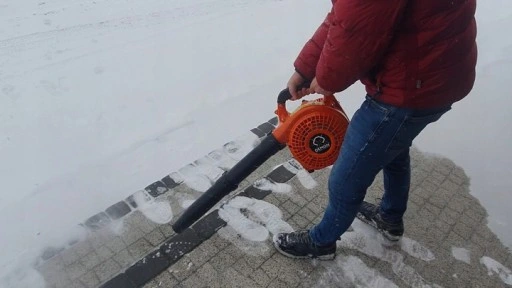 Dmuchawa do liści spalinowa odkurzacz liści DEMON