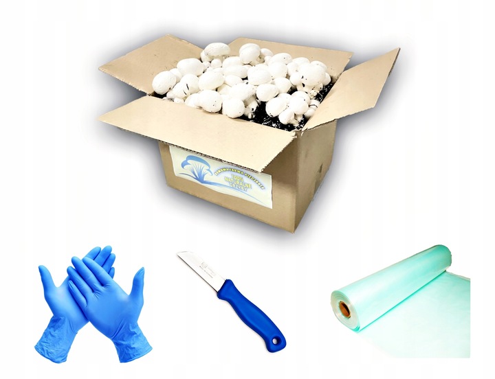 3 Faza Grzybnia Pieczarki Zestaw XL + gratis 6w1