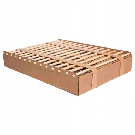 GRILL JEDNORAZOWY WĘGLOWY EKOLOGICZNY 100% EKO BIO Naturalny Kartonowy