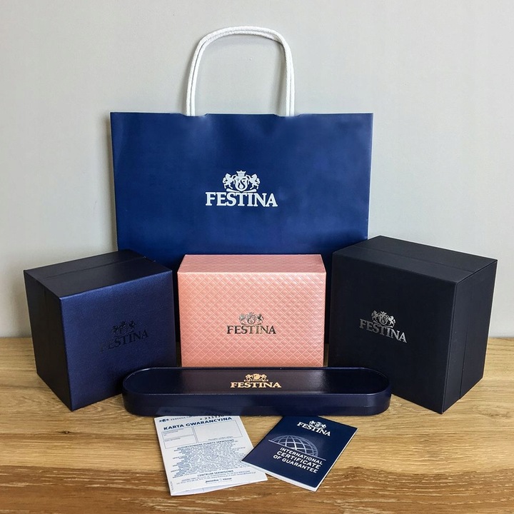 Zegarek Męski Festina F20692-1 brązowy pasek