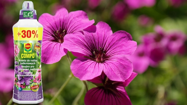 NAWÓZ DO ROŚLIN BALKONOWYCH PELARGONII SURFINII PETUNII PŁYNNY 1,3L COMPO