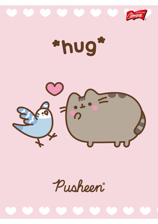 8X ZESZYT A5 32 KARTKI PUSHEEN 4x TRZY LINIA + 4x KRATKA KAŻDA OKŁADKA INNA