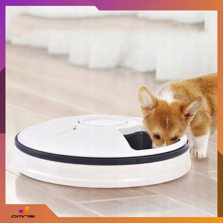 Automatyczny podajnik karmy dla kota psa królika kotów dozownik karmy miska