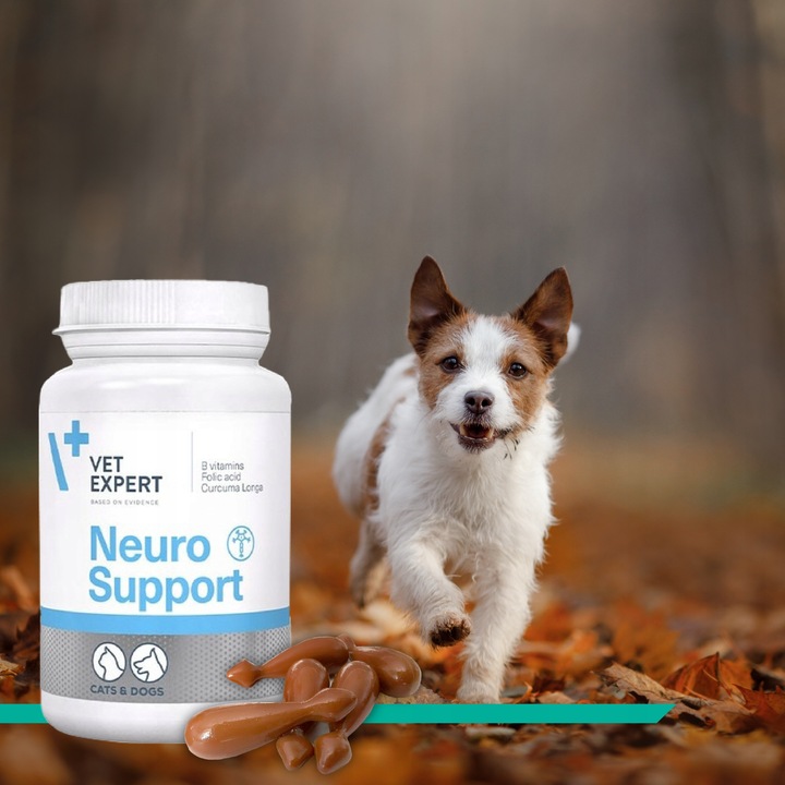 Preparat dla psów kotów na układ nerwowy Vet Expert Neurosupport 45 kaps