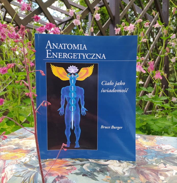 ANATOMIA ENERGETYCZNA BRUCE BURGER