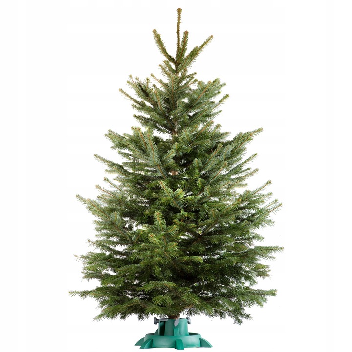 STOJAK POD CHOINKĘ CHOINKI POJEMNIK CHOINKOWY 2,5 L NA DRZEWKO DRZEWKA 1,5m