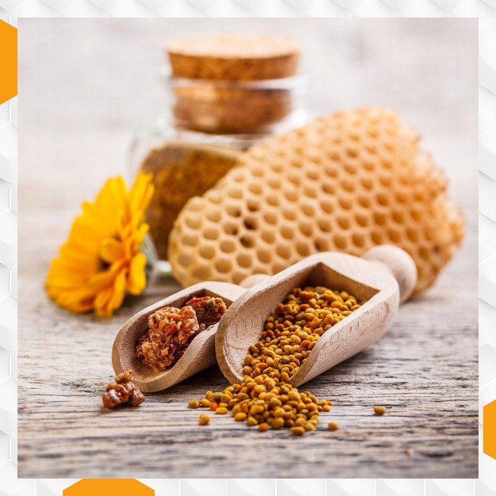 Nozevit PLUS mieszanka paszowa dla pszczół do ula pasieki Apivita 200 ml