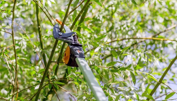 FISKARS UPX86 Sekator Ogrodowy Nożycowy Żyrafa Teleskopowy 1023624